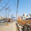 금손복권 이미지