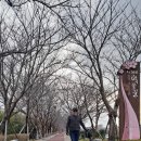 낙동강관리본부 화명생태공원 11 네이버블로그