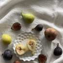 혜민농장 이미지