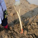 초정농장 이미지