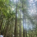 레이크 | [캐나다] 가리발디 레이크 투어 후기 / 등산 준비물 / 등산 필수품