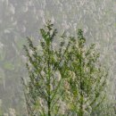 토평공원 이미지