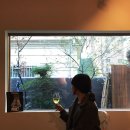 에코 켄넬 이미지