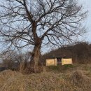 청두곶10길 6 (1) | 경기옛길 : 영남길 - 제10길 이천옛길