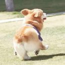 파리에다녀온치킨 이미지