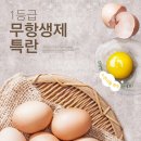 충남닭집 - 동두천시 삼육사로 902 | 충남닭집