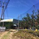 치마골농장 이미지