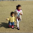 숲속다예린유치원 이미지