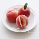 인포크