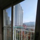 다온안경 | 대전 관저동 유리창 청소, 삶의 질이 달라지는 &#39;찐&#39; 홈케어 Ft. 다온숲