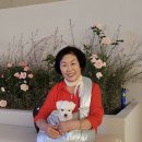 건웅스토어