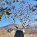 옥계보건지소 이미지