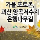 시장속의작은카페 이미지