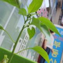 관악드림타운아파트경로당 이미지