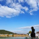 조행 | 구미 사각지 낚시터 송어 낚시 개장 입어료 조행 후기