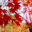 현리 주차장 이미지