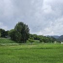 대전둘레산길(6구간) 이미지