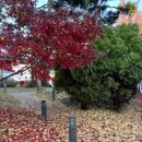 잇츠멍 | 청주 수동 카페 잇츠베이글 향리단길점