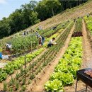 개금농장 이미지