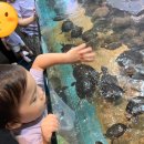 동천동 9-24