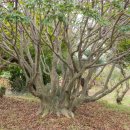 소사농원 이미지