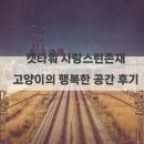 행복한공간 | 캣타워 사랑스런존재 고양이의 행복한 공간 후기