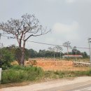 충신 유지걸 정려 이미지