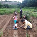 마리아어린이집 이미지