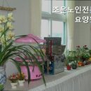 조은노인전문요양원 | 내룡리요양원 조은노인전문요양원 신뢰할 수 있는 요양원