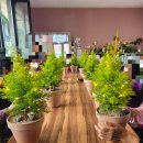 성암농장 이미지