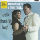 Ain&#39;t No Mountain High Enough - Marvin Gaye &amp; Tammi Terrel 이미지