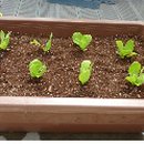 대전광역시 농업기술센타 이미지