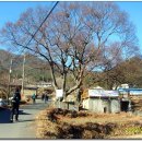 2009/01/03/*함안의 명산/여항산(770m)산행을 마치고 이미지