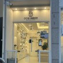 강아지 슬개골 탈구 아이본 동물병원 건강 검진 후기