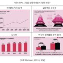 의료법인 효양의료재단(허가취소_2020. 3. 4.) | 인도 시장을 진출하는게 맞을까? (1)