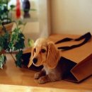 김포동물병원 이미지