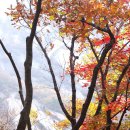 불광2-016 이미지