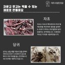 사랑한의원 이미지