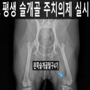 쥬만지동물의료센터 이미지
