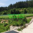 행정리 마을회관 이미지