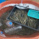 서희수산 이미지