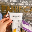 파니피카 이미지