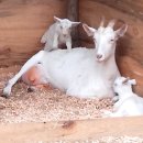 대굴령마을 이미지