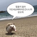 에이치아이여성의원 이미지