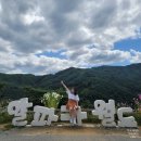 성운목장 | 서울 근교 경기도 가볼만한 곳 Best 6 봄나들이 4월,5월,6월 추천