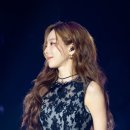 헤어쉬크 이미지