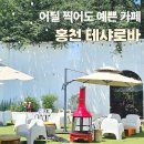 홍천 카페 테샤로바 포토존 가득한 대형 감성카페 후기