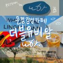 ☕️문경 신상 감성카페, 더블유비알(wbr)