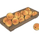 음양오행건강식품연구원 | 웹진 담談 149호 <큰 더위[大暑], 내 몸을 지키는 방법>