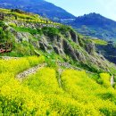 남해-159 이미지